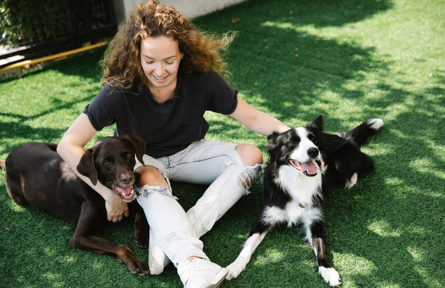 Smiling woman embracing purebred dogs on lawn